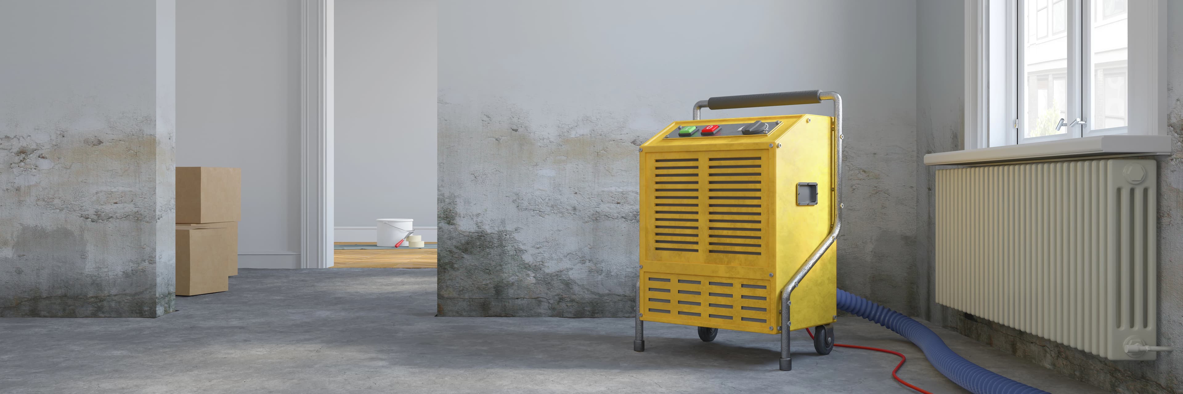 Odvlhčovač v akcii - riešenie problému s vlhkosťou